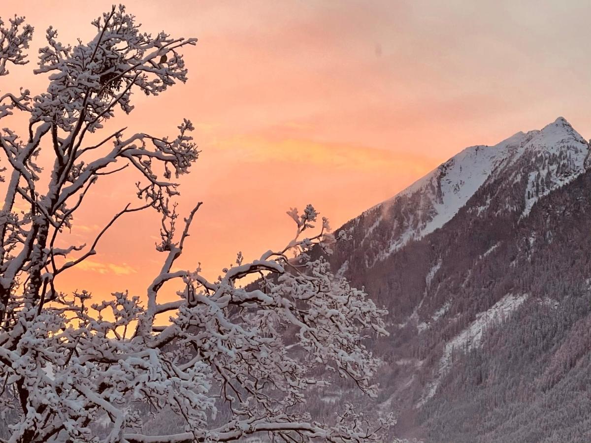 Auszeit Appartement Schladming Eksteriør billede